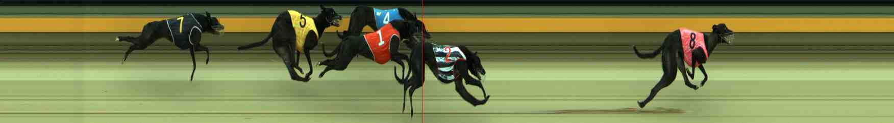 Race result finish photo